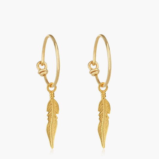 Gold Vermeil Feather Hoop earrings (vermeil)